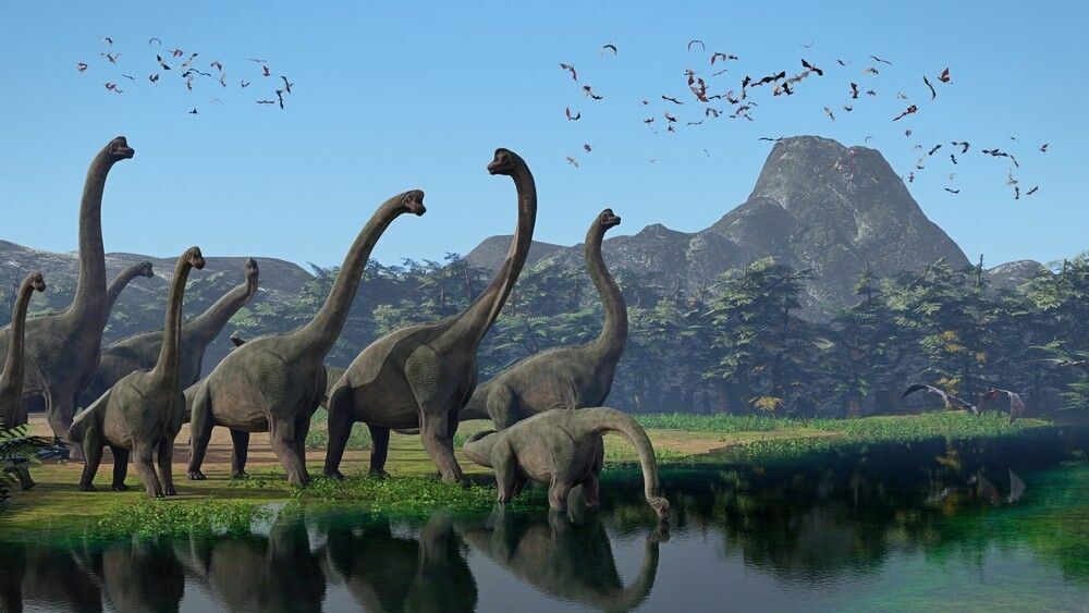 あなたの新進の古生物学者のためのブラキオサウルスのサイズの事実