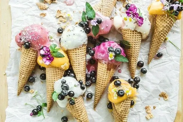 The Inside Scoop! 20 zabavnih činjenica koje niste znali o sladoledu