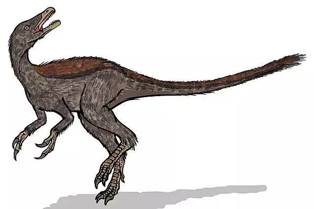 21 Dino-midd Haplocheirus fakta som barn vil elske