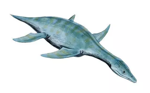 Wusstest du? 19 unglaubliche Tapuiasaurus-Fakten