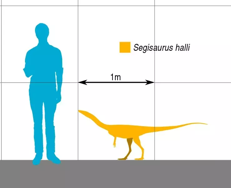 17 faktov o Segisaurovi, na ktoré nikdy nezabudnete