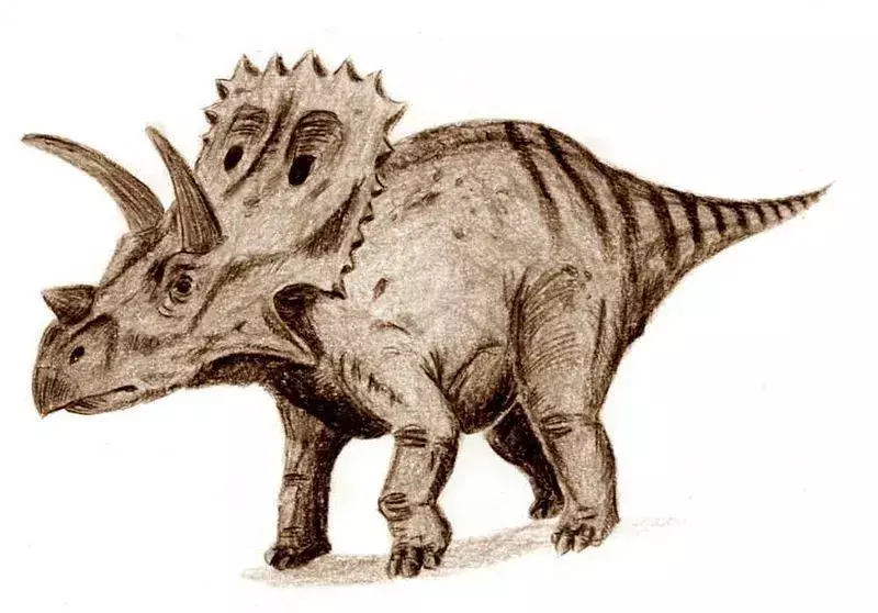 19 dejstev o Arrhinoceratops dino-pršicah, ki bodo všeč otrokom