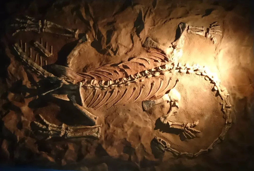 Megapnozaurs: 15 fakti, kuriem neticēsit!