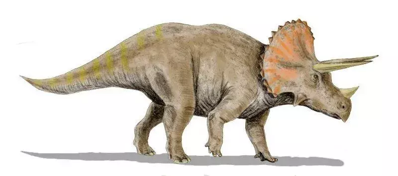 19 Dino-mite Tatankaceratops Fakty, które dzieci pokochają