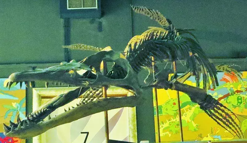 15 karjuvaa faktaa pliosaurusesta, jota lapset rakastavat