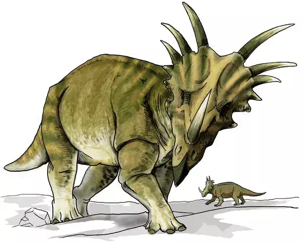 17 faktov o dinosauroch Aardonyx pre deti