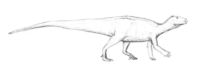 17 kjeve-noen fakta om Tenontosaurus for barn