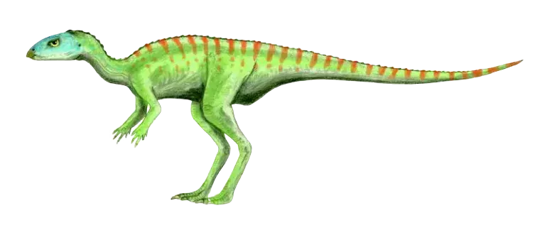 아이들이 좋아할 공룡 진드기 아나비세티아 사실 17가지