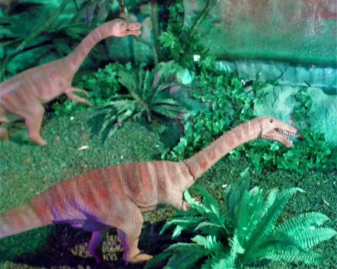 17 공룡 진드기 Hesperornithoides 아이들이 좋아할 사실