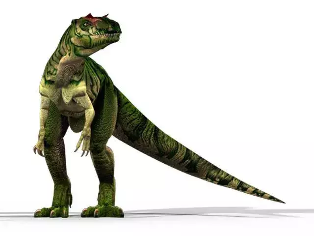 Questo dinosauro è un animale di taglia media.