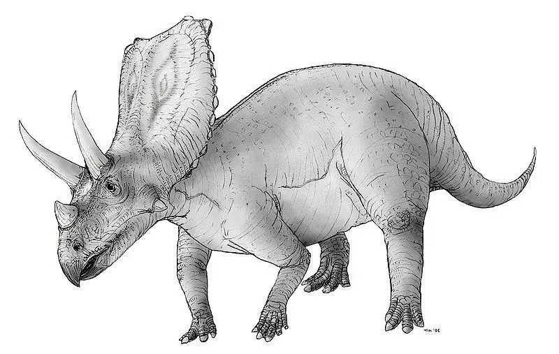 ¿Sabías? 15 hechos increíbles de Chasmosaurus