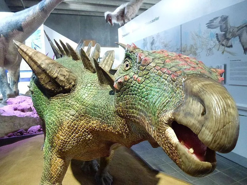 ข้อเท็จจริง Huayangosaurus แสนสนุกสำหรับเด็ก