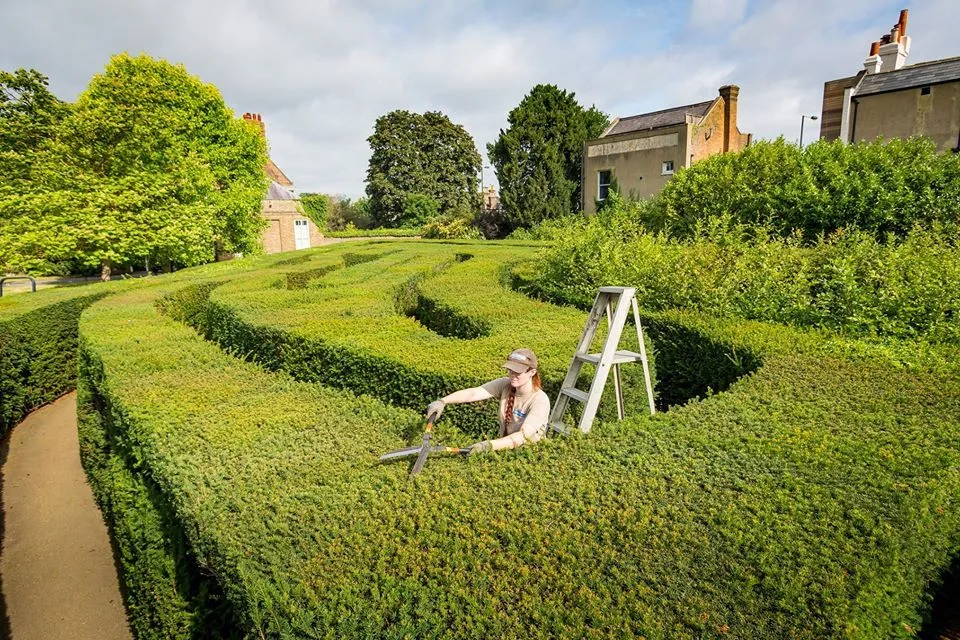 En labyrint! Ta tak i labyrinten og så mye mer på Hampton Court Palace!
