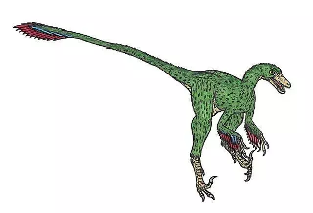 19 Saurornithoides, fapte pe care copiii le vor adora