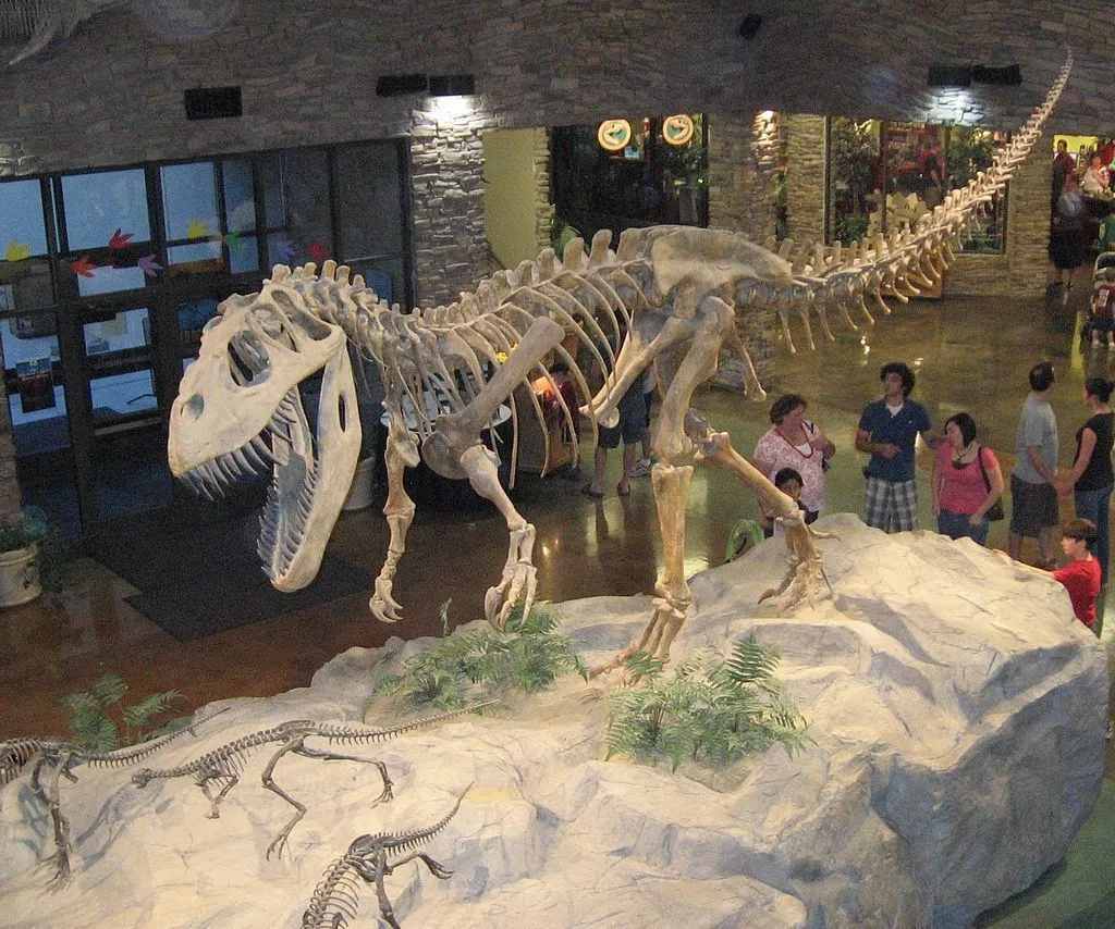 Dette er et skelet af en Torvosaurus dinosaur.