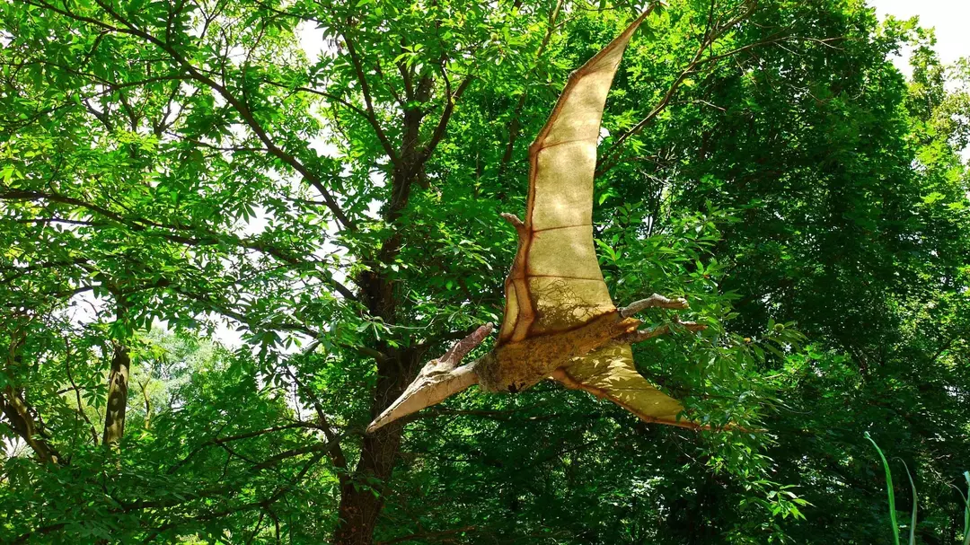 Caviramus era uno pterosauro del tardo Triassico che possedeva denti simili a zanne!