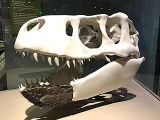 Morsomme Nanuqsaurus-fakta for barn
