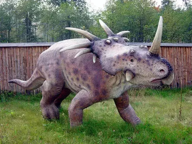 19 neticami Stellasaurus fakti, kuriem jūs neticēsit!