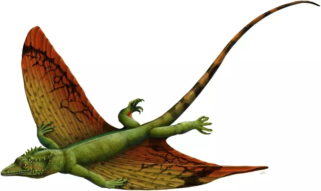 17 faktów o Coelurosauravus, których nigdy nie zapomnisz