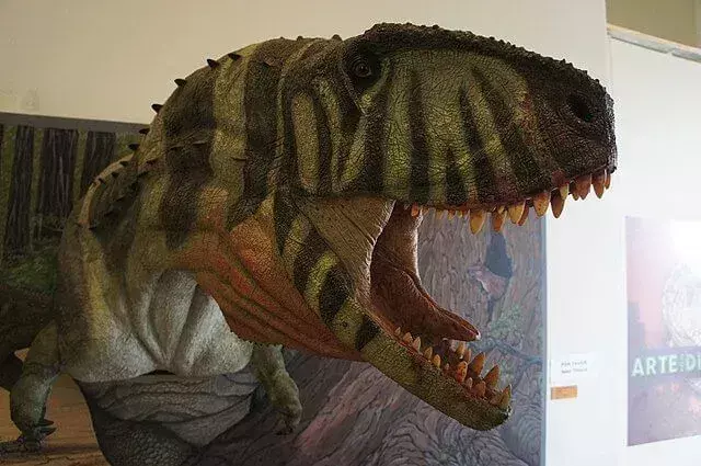 Pycnonemosaurus oli kaksijalkainen Theropod.