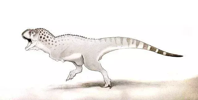 Tieto dinosaury boli charakteristické svojimi veľkými telami a mohutnými čeľusťami.