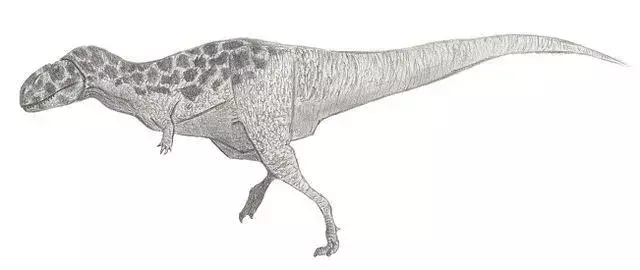 Bahariasaurus er en stor størrelse dinosaur ifølge beskrivelsen, der levede under Cenomanian i Kridttiden.