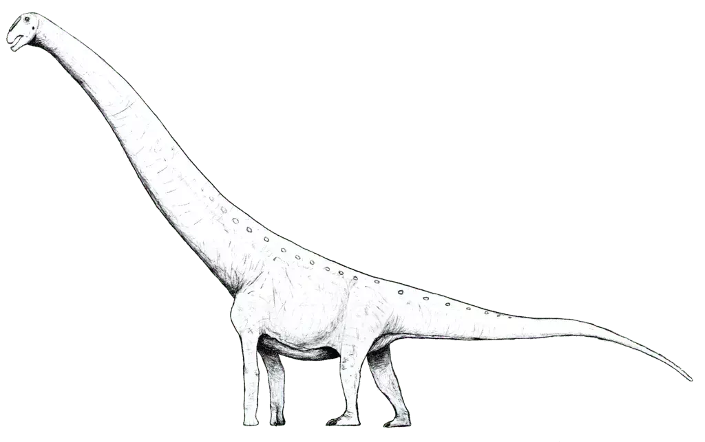 15 brølende fakta om Mansourasaurus, som børn vil elske
