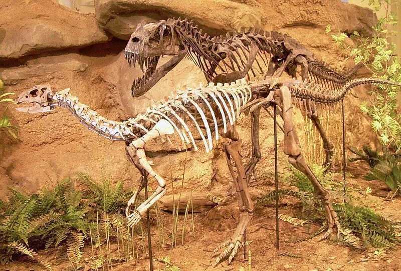 Morsomme Dryosaurus-fakta for barn