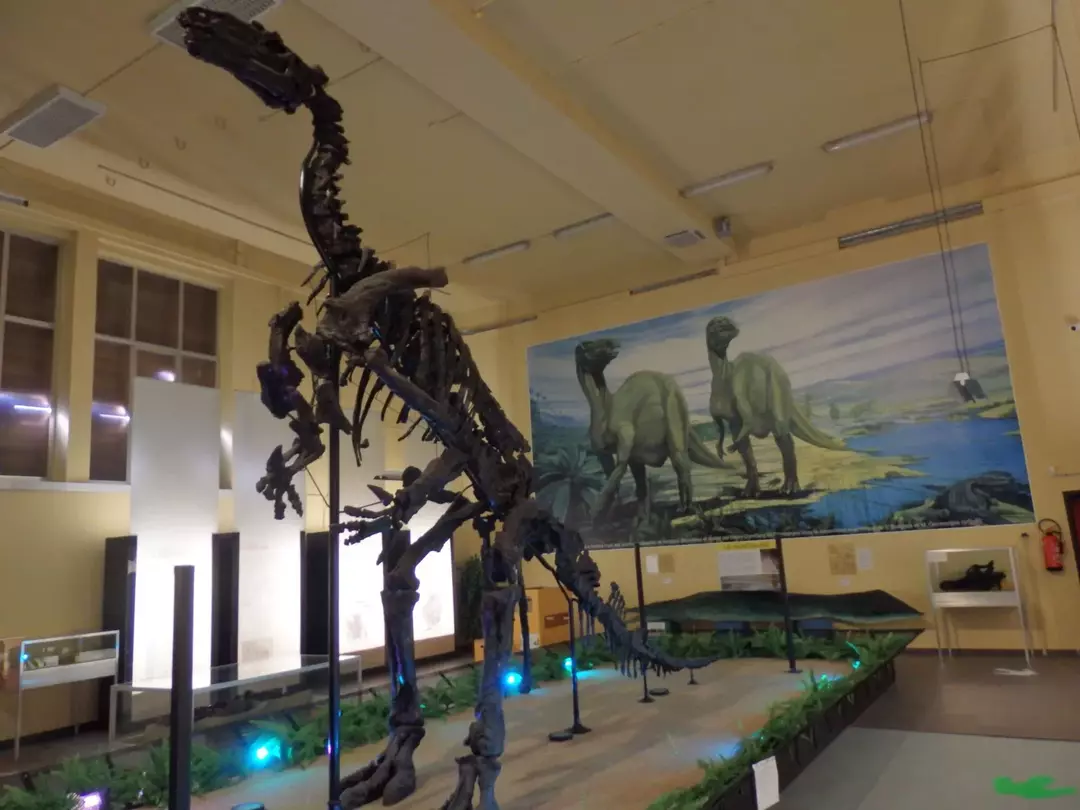 19 Fatti clamorosi sull'Iguanodonte che i bambini adoreranno