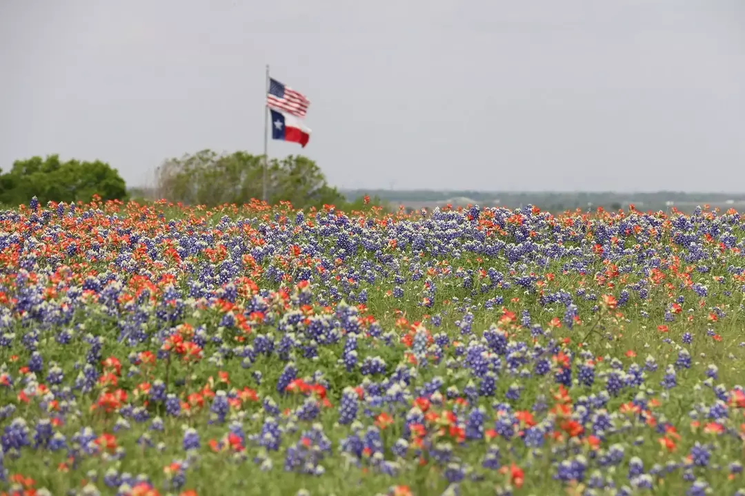 Sedm faktů o texaských symbolech, které jsou naprosto ohromující!