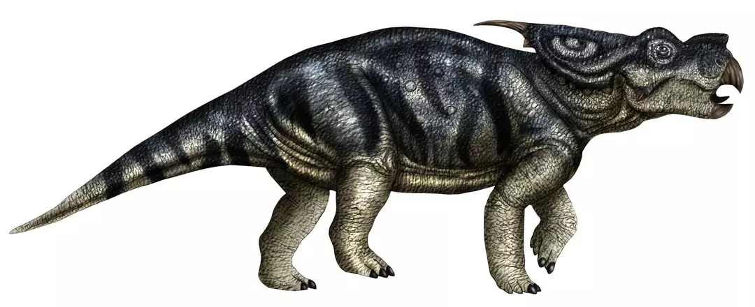 Ахелозавр: 21 факт, який ви ніколи не забудете
