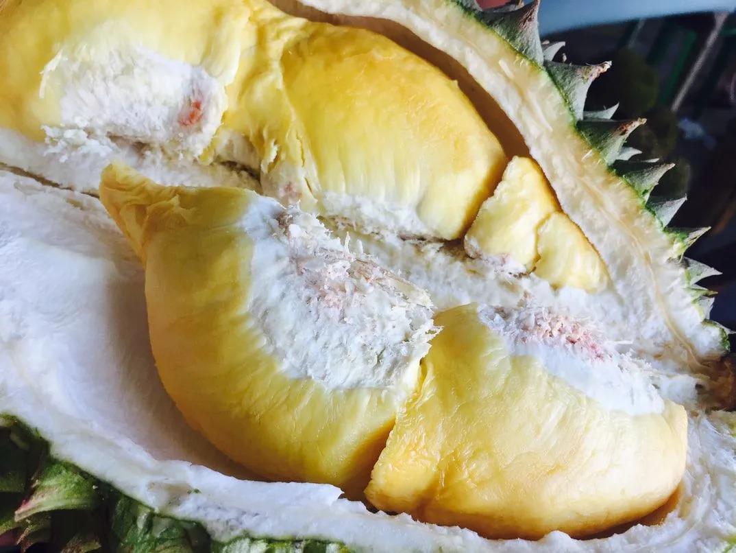 Jackfruit Διατροφικά Στοιχεία Καταπληκτικά Trivia για το Tropical Fruit