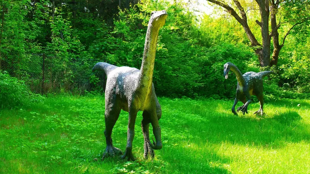 19 Fatti sorprendenti sull'Ornithomimus per bambini