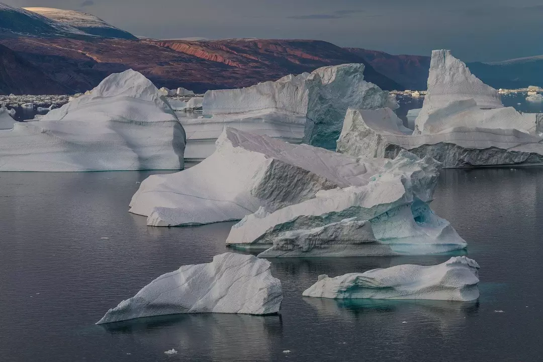 Ledo lytys nešė dreifuojantį ledą tūkstančius mylių ir apgyvendino mokslines gyvenvietes.