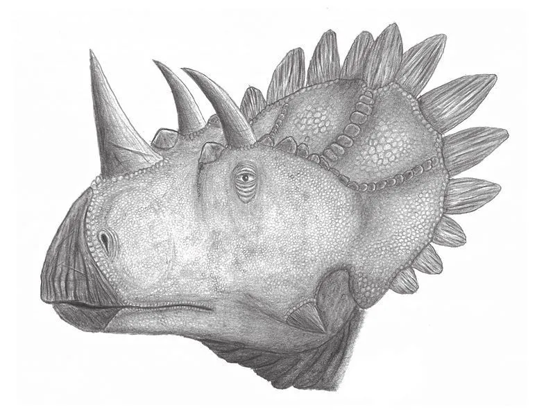 Διασκεδαστικά γεγονότα Regaliceratops για παιδιά