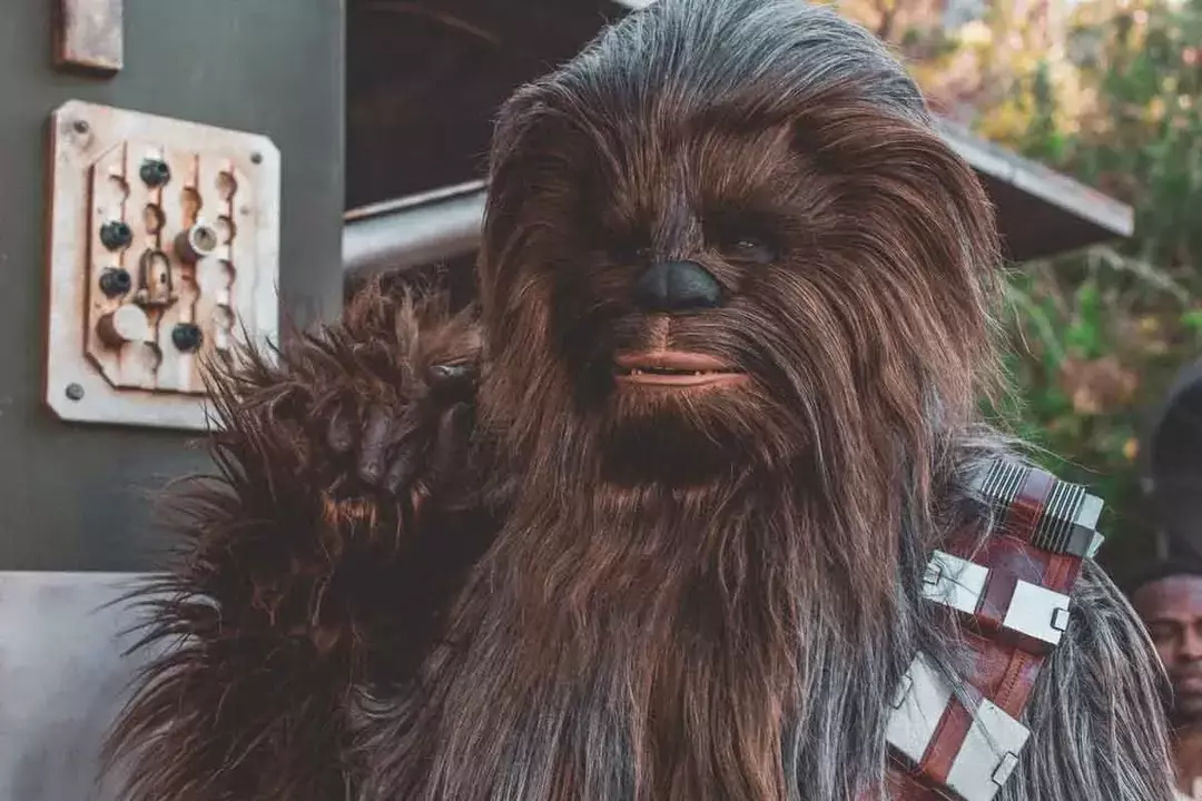 [Chewbacca dukket opp i Ep-4 av 'Star Wars: A New Hope'