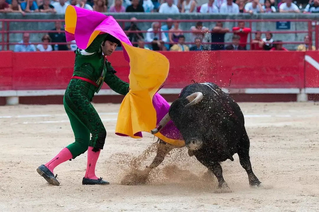 27 faktů o býčím boji: jeho ošklivá stránka, kulturní aspekty a další fakta Seville, Španělsko