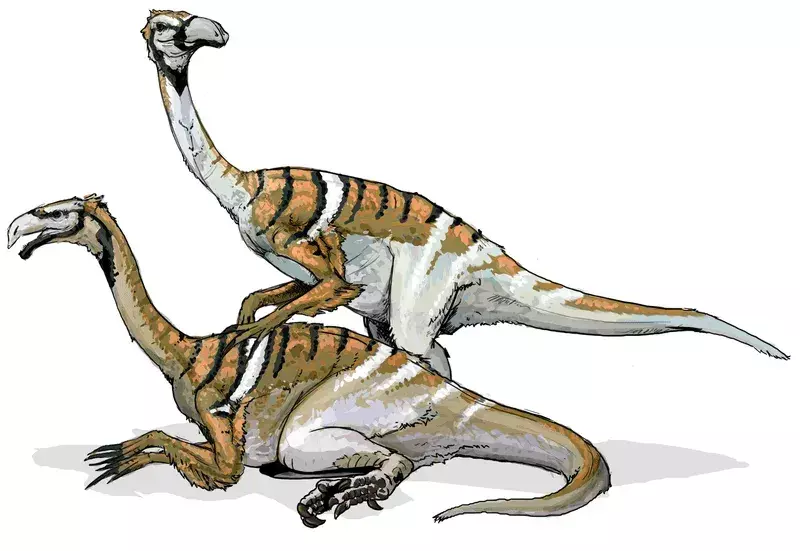 21 Dino-mite Uberabatitan Fakty, które dzieci pokochają