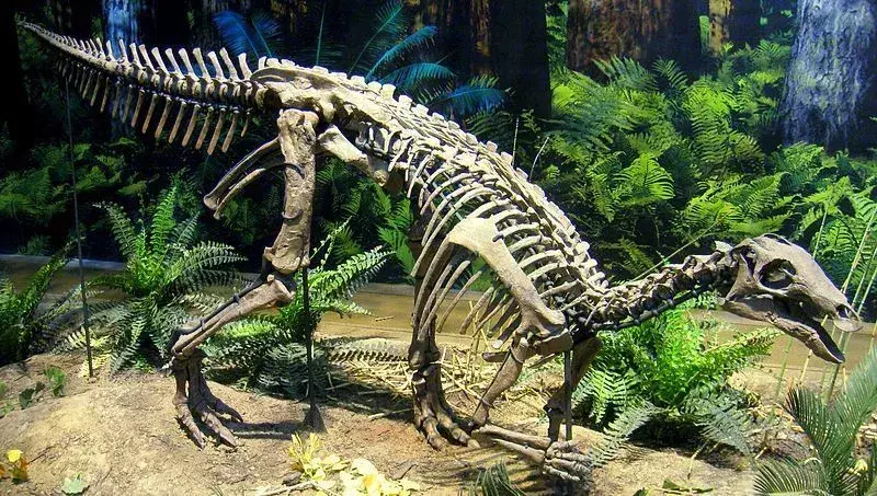 21 Dino-mite Uteodon činjenice koje će se svidjeti djeci