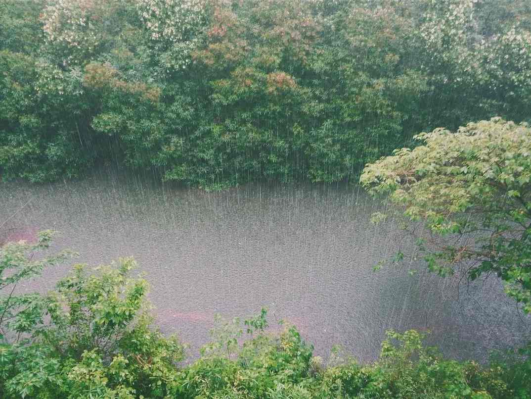 Hechos y tipos de lluvia Consejos sobre el clima que debe saber