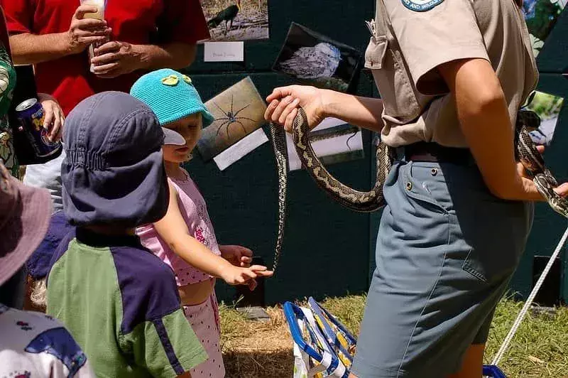 Små barn ser på en slange på et slangeshow.