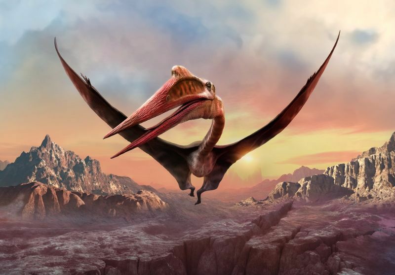 Quetzalcoatlus Size Amaze Wing Datos sobre gigante volador revelados para niños