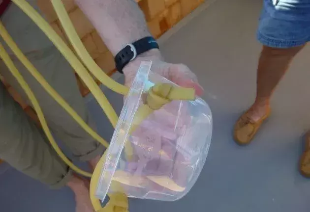 Vannballongkaster i plastskål