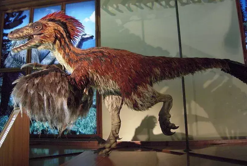 Fakty o Erliansaurovi, na ktoré nikdy nezabudnete