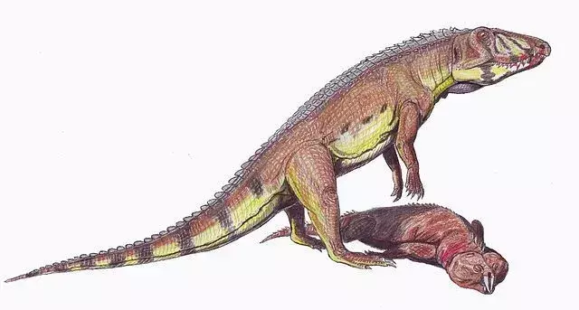 19 erstaunliche Ornithosuchus-Fakten, die Kinder lieben werden