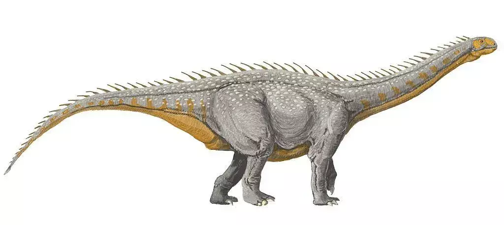 يقال أن أسنان باراباصور لها شكل ملعقة.