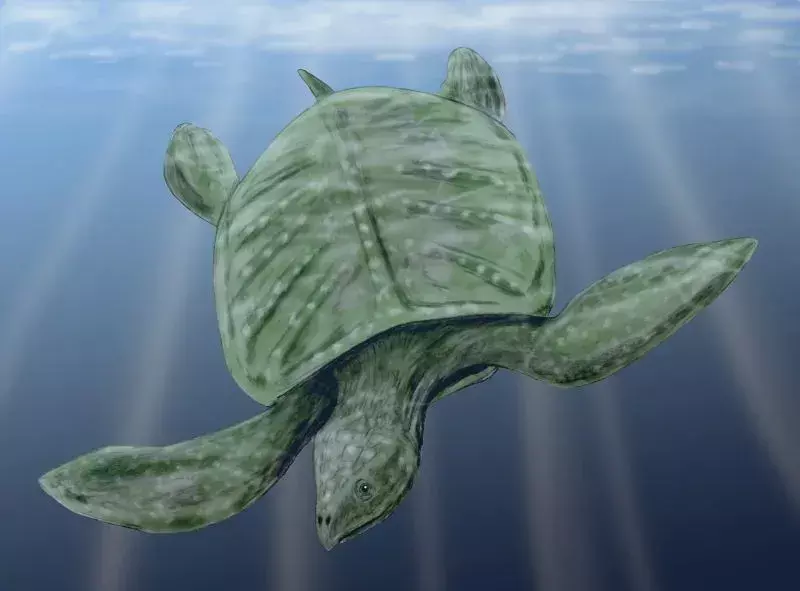 Archelon Turtle: 19 Fakta yang Tidak Akan Kamu Percaya!