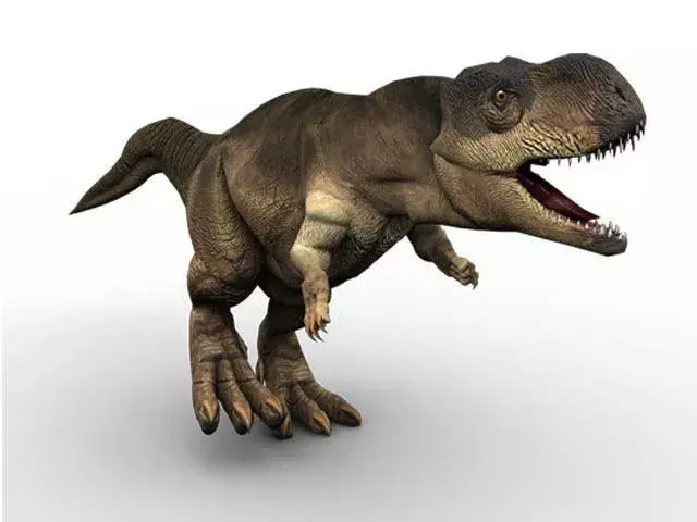 Rajasaurus'un etoburlarda nadiren bulunan garip bir baş arması vardı.