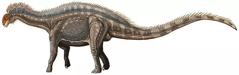 Otçul bir dinozor olan Suuwassea'nın uzun bir boynu, kuyruğu ve küçük bir kafası vardı.