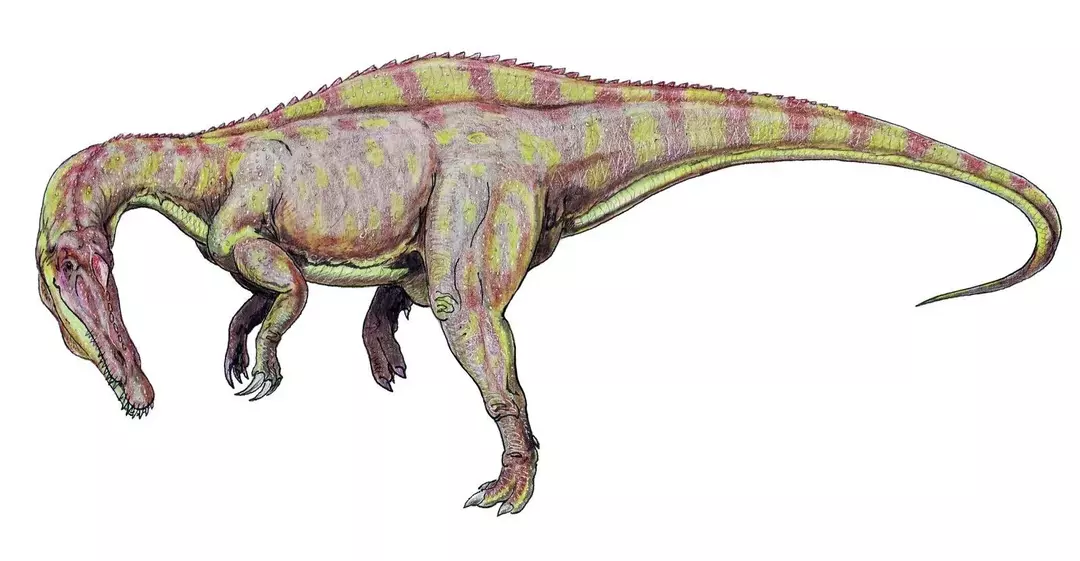 Pols Sereno bija viens no Suchomimus ģints deskriptoriem, kas nozīmē “krokodila atdarinātājs”.
